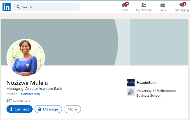 Nozizwe Mulela-Zulu LinkedIn