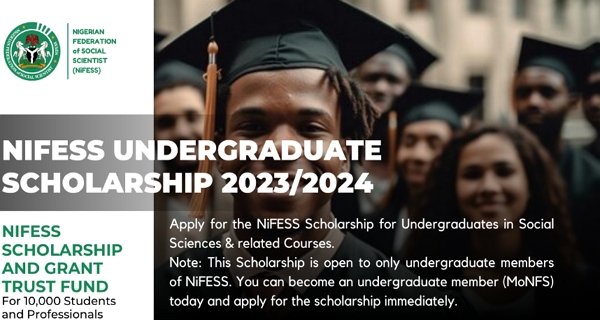 NIFESS Undergraduate Scholarship 2023/2024 for Nigerian University Students